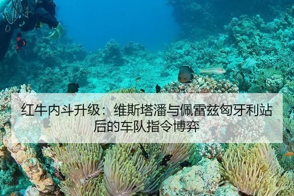 红牛内斗升级：维斯塔潘与佩雷兹匈牙利站后的车队指令博弈